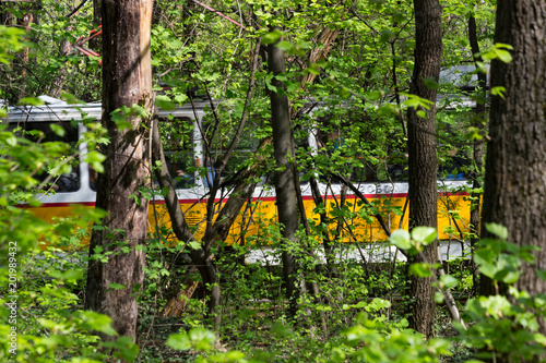 A tram car passing through a forest, Borisova gradona park, Sofia, Bulgaria photo