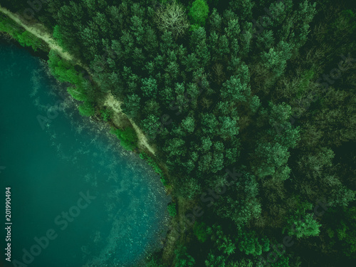 Wild pond curve with forest border,aerial from above