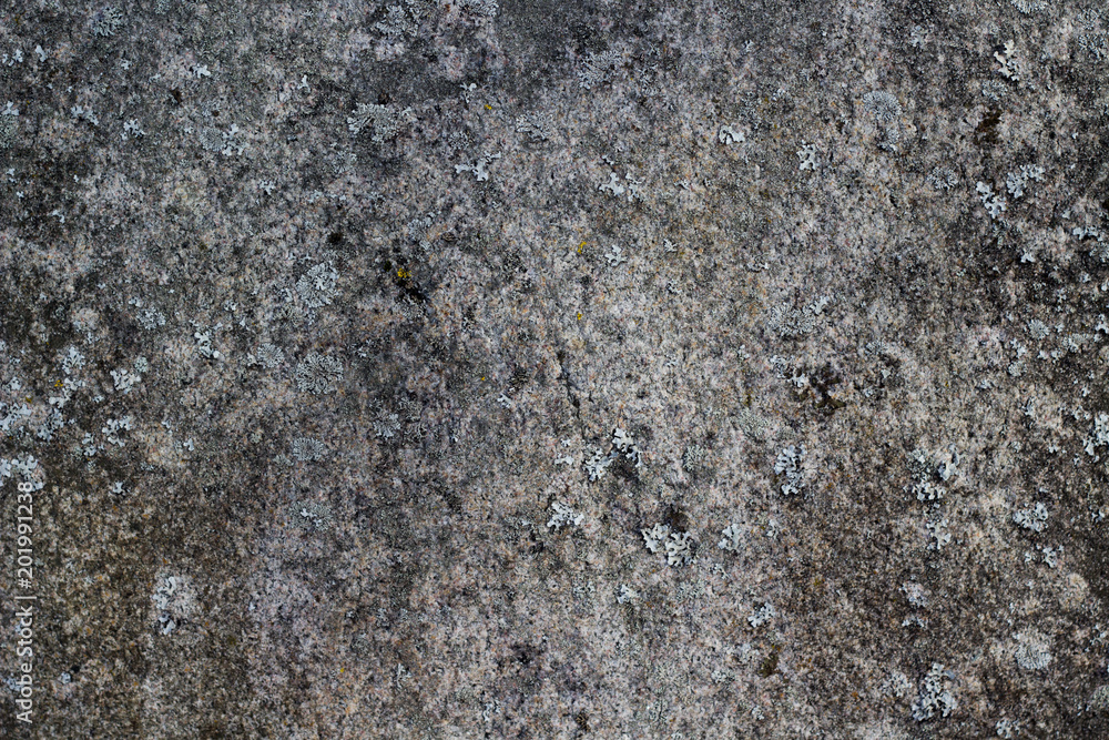 Concrete wall Concrete wall