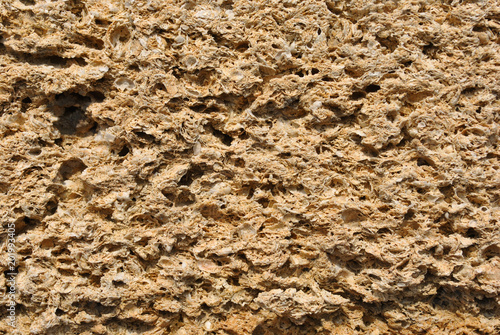 Crimean coquina rock close up texture background