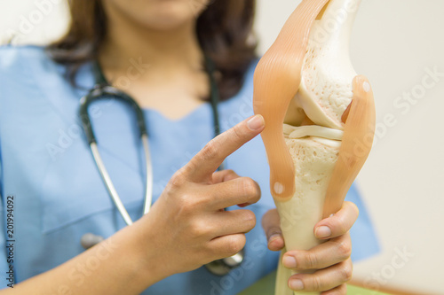 Closeup Professional Doctor pointed on area of model knee joint. medical and orthopedic concept.