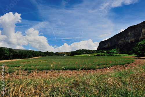 Fototapeta Krajobraz Luberon