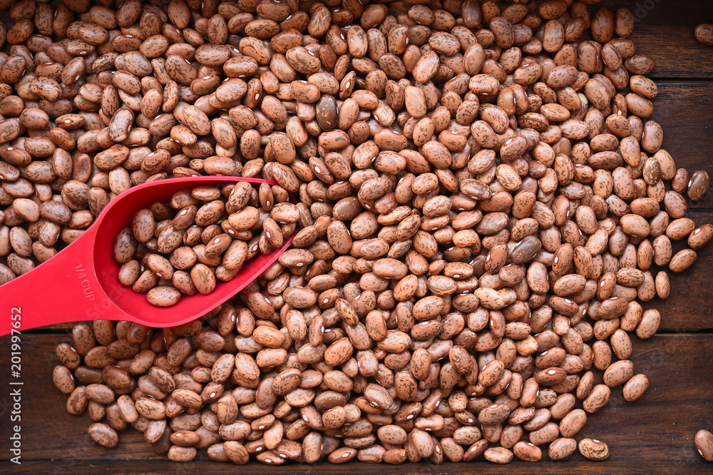 close up of pinto bean for background close up of pinto bean for background