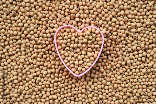 close up of soy bean for background