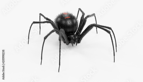 Realistic 3D Render of Black Widow Spider