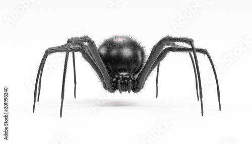 Wallpaper Mural Realistic 3D Render of Black Widow Spider Torontodigital.ca
