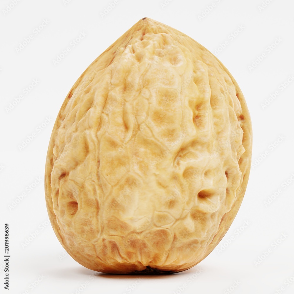 Fototapeta premium Realistic 3D Render of Walnut