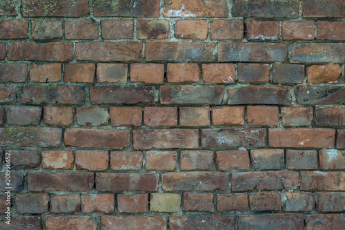  Wall of old red brick