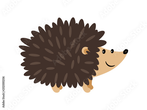 Hedgehog cartoon icon