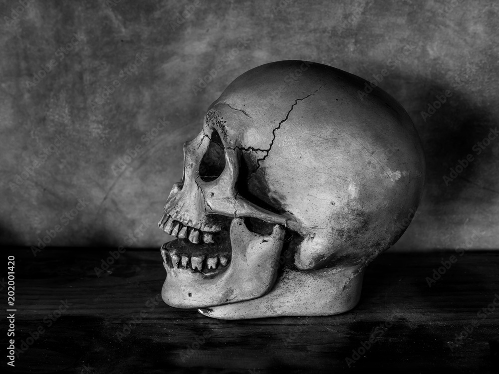 Obraz premium Skull Head
