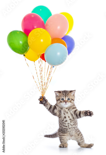 Fototapeta Naklejka Na Ścianę i Meble -  Dancing cat with birthday party balloons isolated