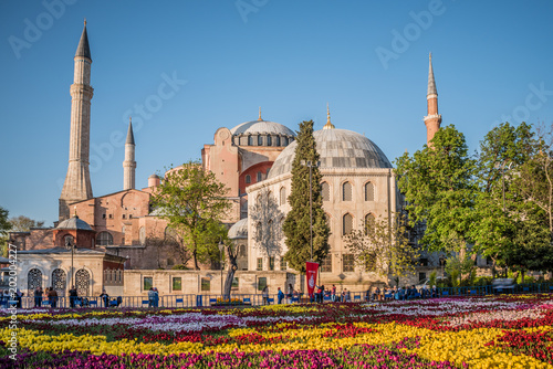 Photography Largest Carpet of Tulips of the World in Sultanahmet for tulip festival