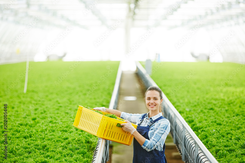 Φωτογραφία Portrait of young attractive Caucasian woman standing in large industrial greenh