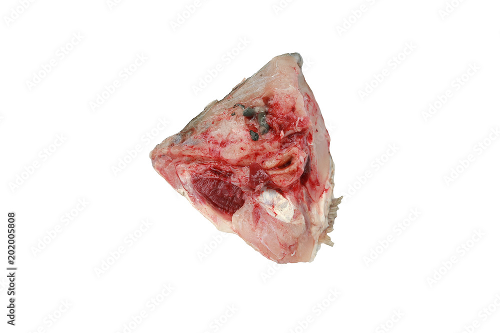 Piece of Sliced Tilapia fish on white background. Piece of Sliced Tilapia fish on white background.