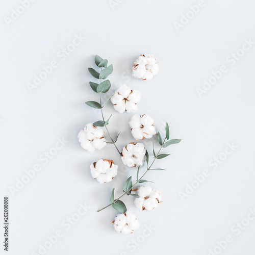 Flowers composition. Pattern made of cotton flowers and eucalyptus branches on pastel blue background. Flat lay, top view, square photo