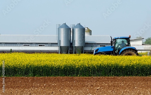 Blue tractor in the middle of a yellow canola field, with an agricultural building and two metal silos on behind.