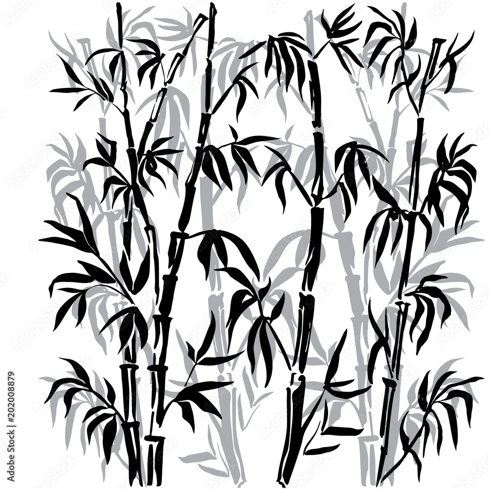 Obraz premium Bamboo leaf background. The top of the bamboo.