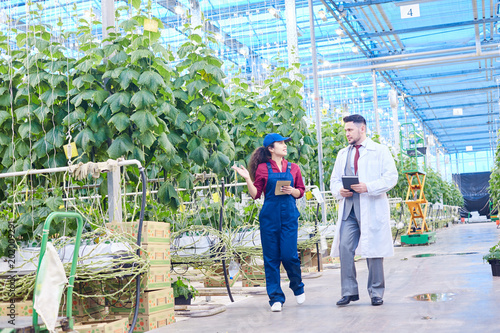 Full length portrait of chief agricultural engineer wearing lab coat talking to female worker on vegetable farm, copy space photo