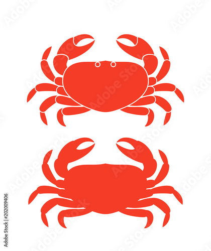 Crab silhouette. Isolated crab on white background