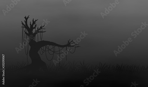 Creepy tree on grassfiled in the fog. photo