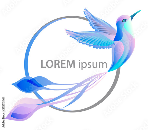 Hummingbird. Vector illustration of Colibri Bird