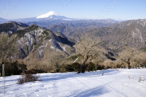 雪の鍋割山より富士山