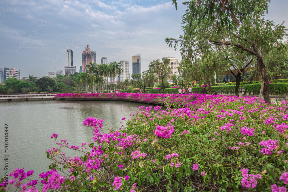 Blooming flowerbeds at the Benjakiti (Benjakitti) Park Blooming flowerbeds at the Benjakiti (Benjakitti) Park