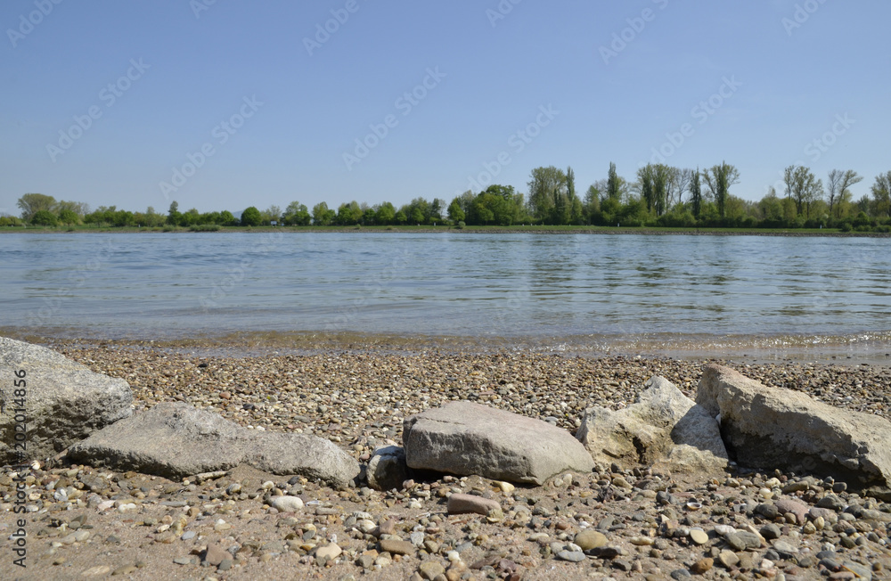 Obraz premium rheinufer bei eich