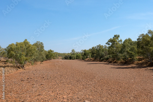 Dry river bed and trees during drought in the outback of Queensland in Australia