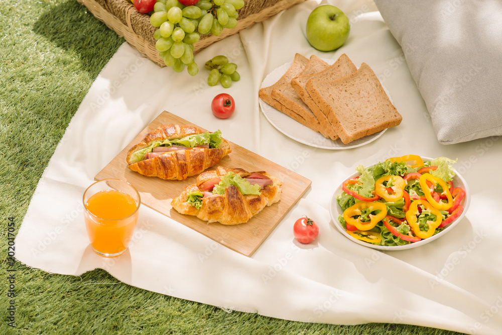 Healthy picnic for a summer vacation at the park on the grass. Healthy picnic for a summer vacation at the park on the grass.