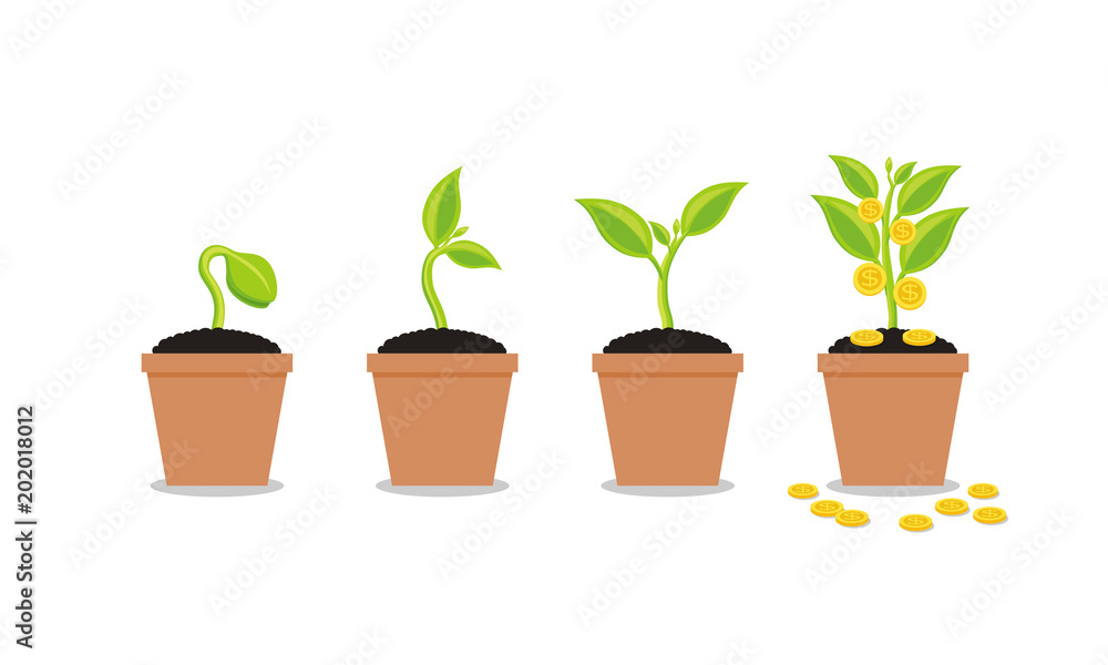 Plant Growing In Savings Coins - Investment And Interest Concept, Business investment growth concept, with stack money coin Plant Growing In Savings Coins - Investment And Interest Concept, Business investment growth concept, with stack money coin