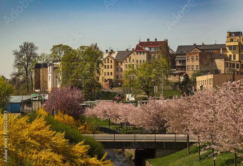 spring in the city