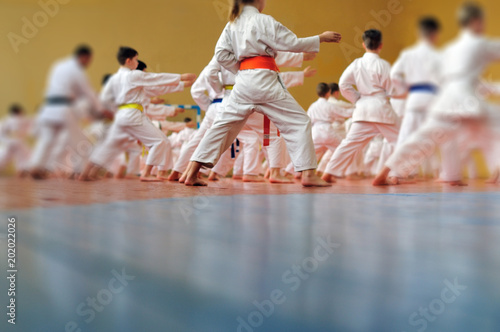 Kids training on karate-do. Banner with space for text. For web pages or advertising printing. Photo without faces, from the back.