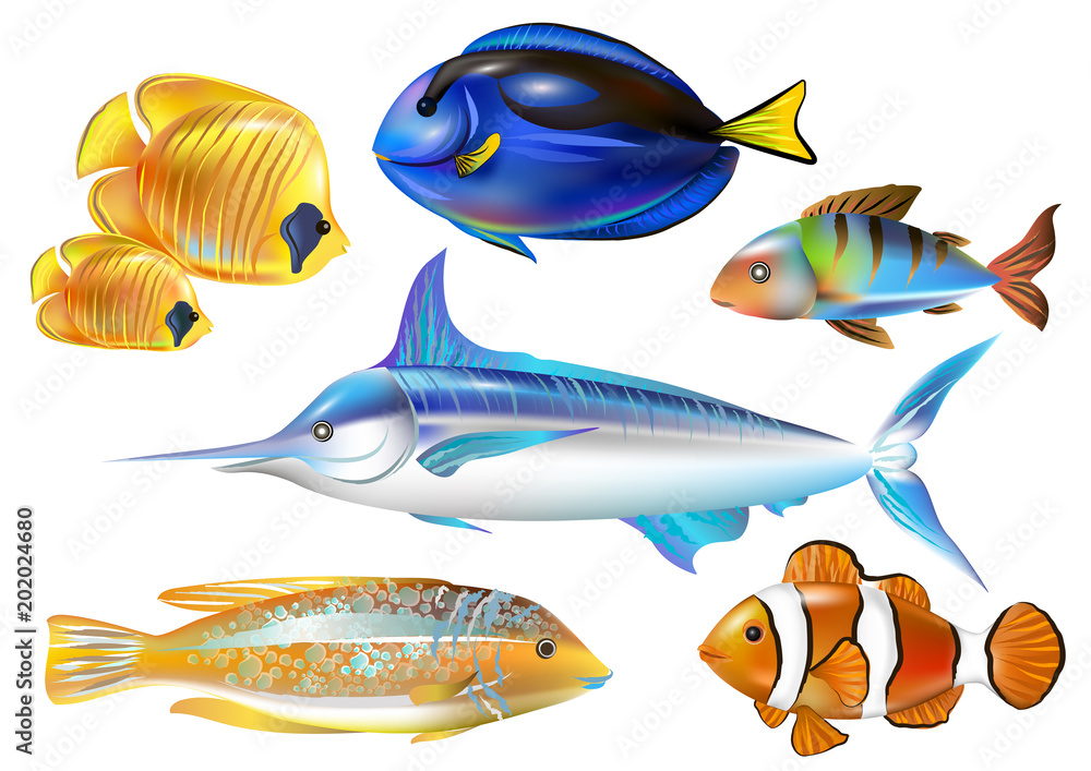 Set of tropical sea fihses. Vector illustration. Set of tropical sea fihses. Vector illustration.