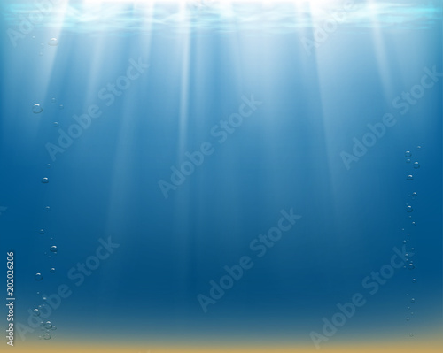 Water surface and sandy bottom.