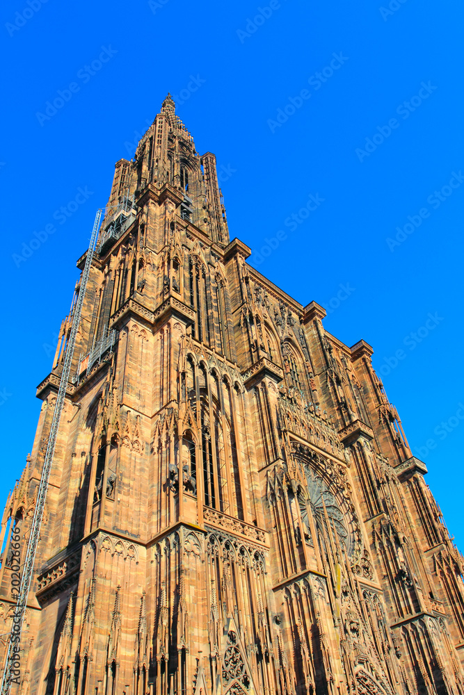 strasbourg minster - gothic cathedral