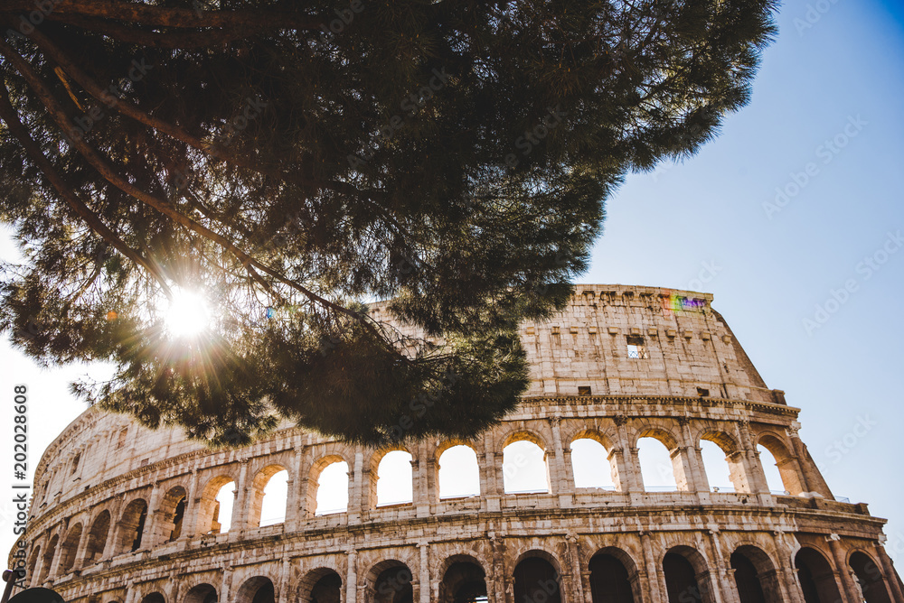 Obraz premium bottom view of Colosseum ruins with tree and sunshine in Rome, Italy