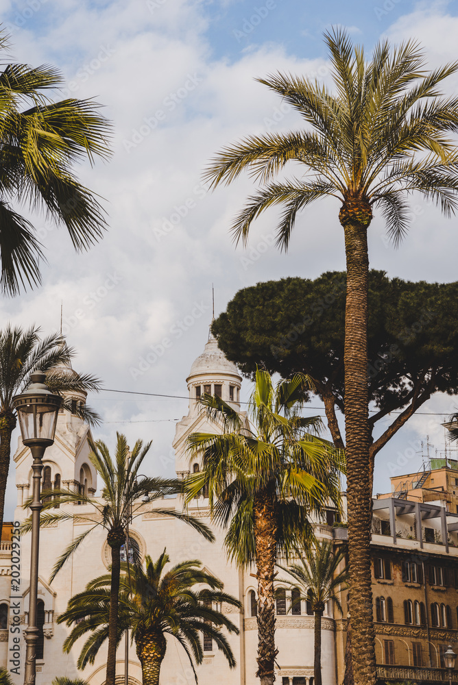 Palm trees and white building in Rome, Italy