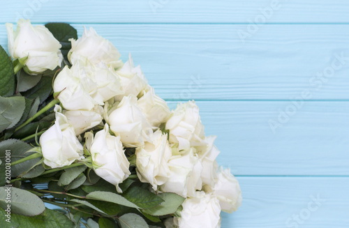 White roses on a turquoise wooden background. White roses  turquoise wooden background