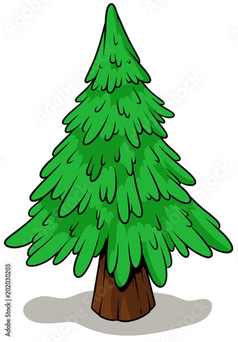 Cartoon green fir tree on white background