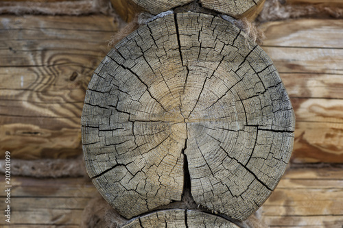 End face (cut) of old wooden logs