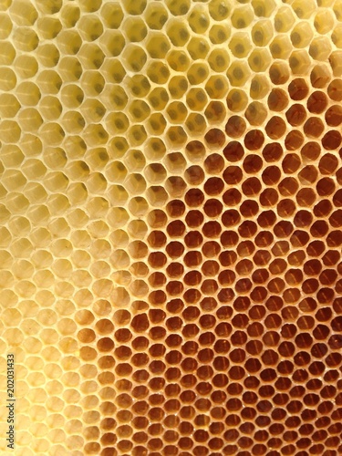 Bienenwaben-Kunstwerk