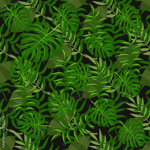 Fototapeta Naklejka Na Ścianę i Meble -  Tropical pattern palm summer green palm leaves black background.