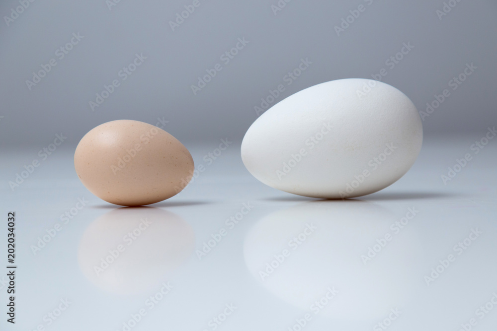 Eggs of different size and colour, from different birds. Eggs of different size and colour, from different birds.