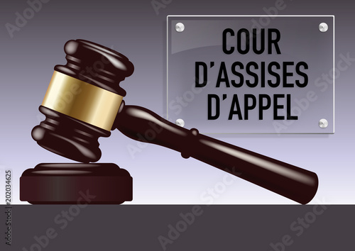 justice - tribunal - maillet - juge - jugement - prison - police - judiciaire - juridique - crime - délit