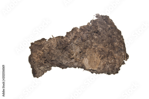 cow dung isolated on white background