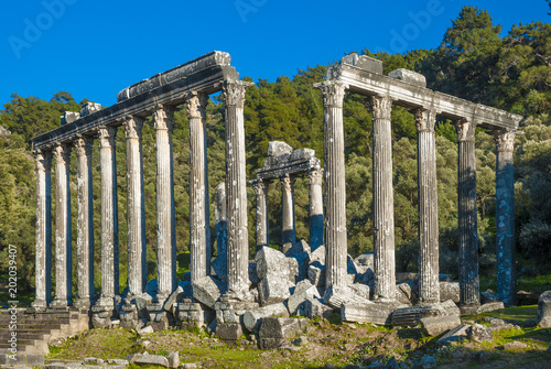 Temple of Zeus Lepsinos, Euromus, Mugla Province, Turkey. photo