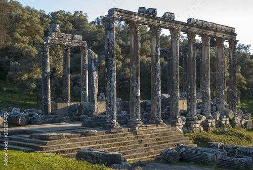 Temple of Zeus Lepsinos, Euromus, Mugla Province, Turkey. photo