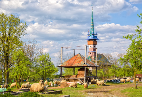 Spring rural landscape with traditional maramures neo-gothic church in Sapanta village, Romania photo