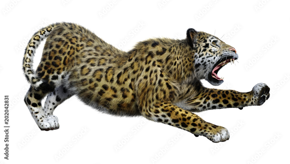 3D Rendering Big Cat Jaguar on White 3D Rendering Big Cat Jaguar on White